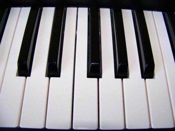 A close up of the keys on an electronic piano